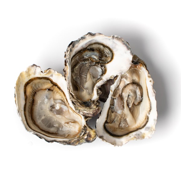 Picture 2 - Air-flown Live French Alienor Speciale Oysters
