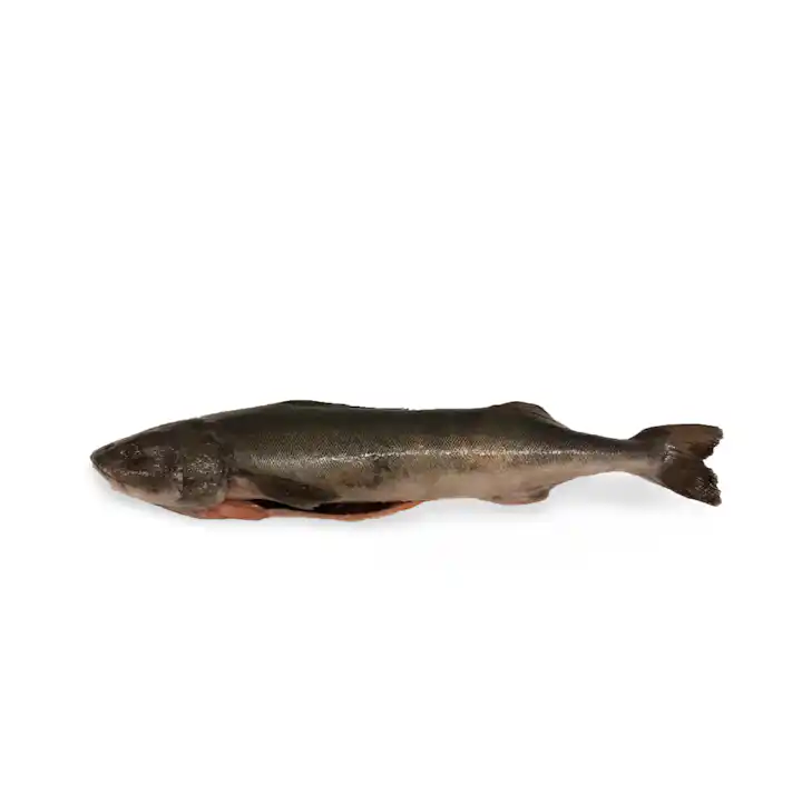 Manilla Cod Fish Black Cod Fish Alaska Sablefish AKA Black Cod Portions 10 Lb Box