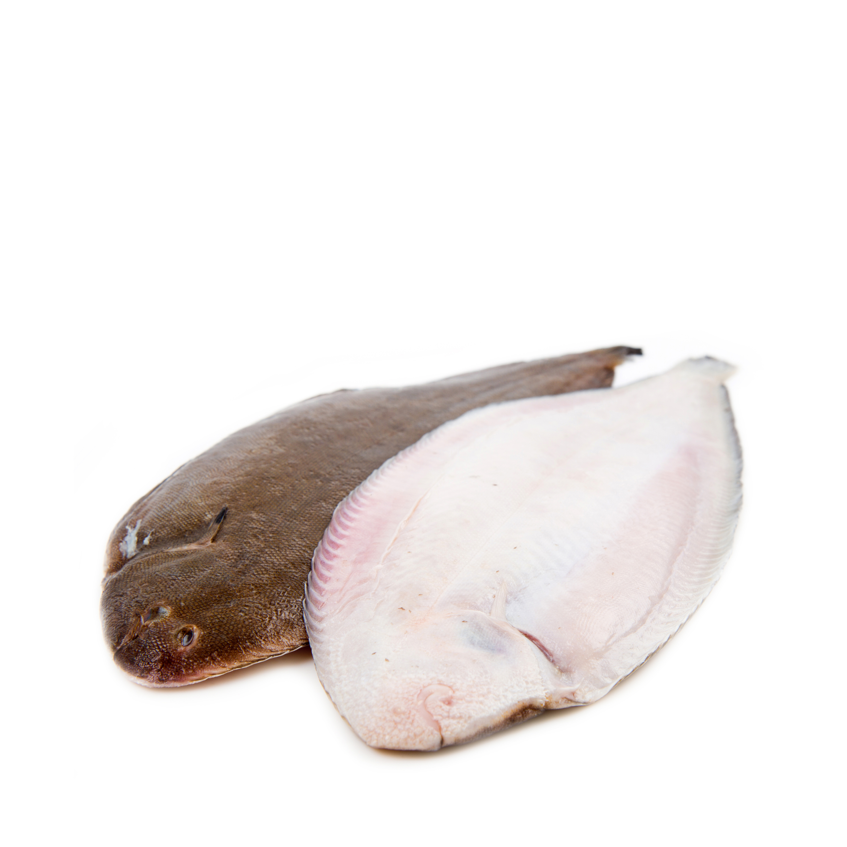 Thumbnail 2 - Fresh Dover Sole From France