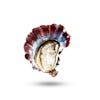 Thumbnail 1 - Air-flown Live Tarbouriech Pink Oysters Speciale