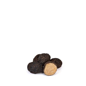 Fresh Black Truffles from Périgord and Vaucluse