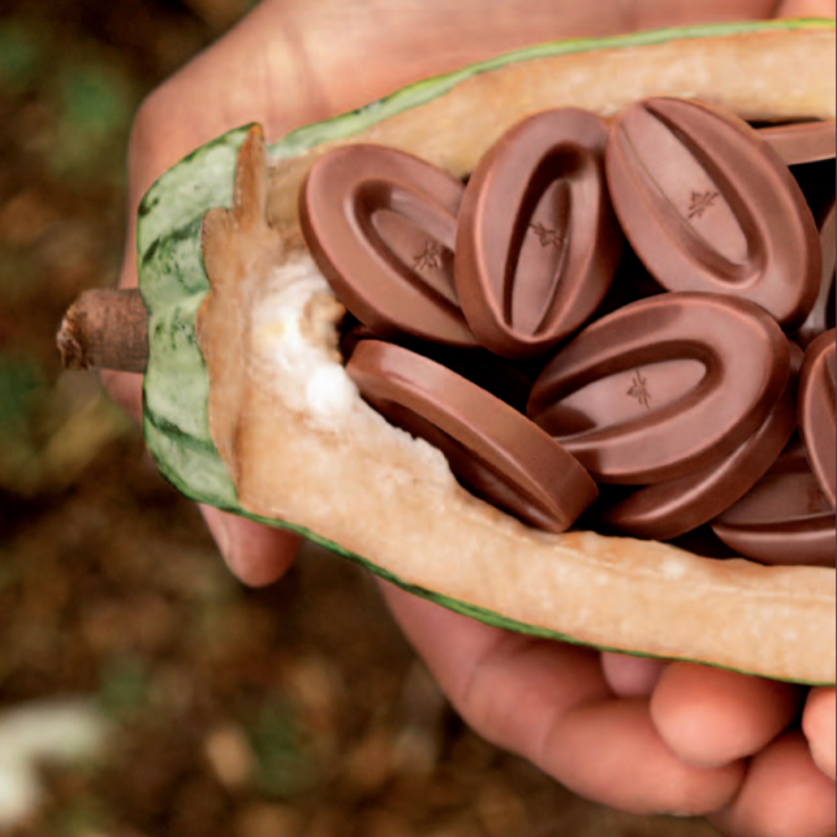 Thumbnail 2 - Valrhona Ariaga Noire 66%