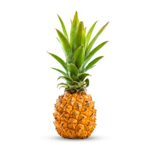 Victoria Pineapple from Reunion Island