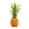 Thumbnail 1 - Victoria Pineapple from Reunion Island