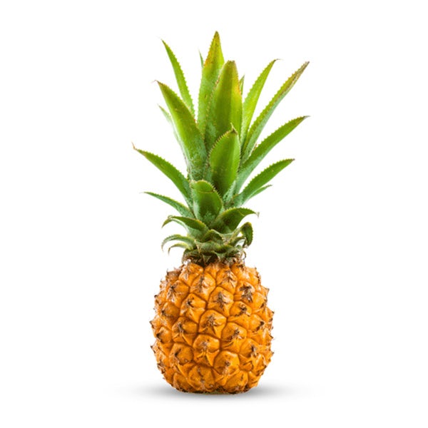 Picture 1 - Victoria Pineapple from Reunion Island