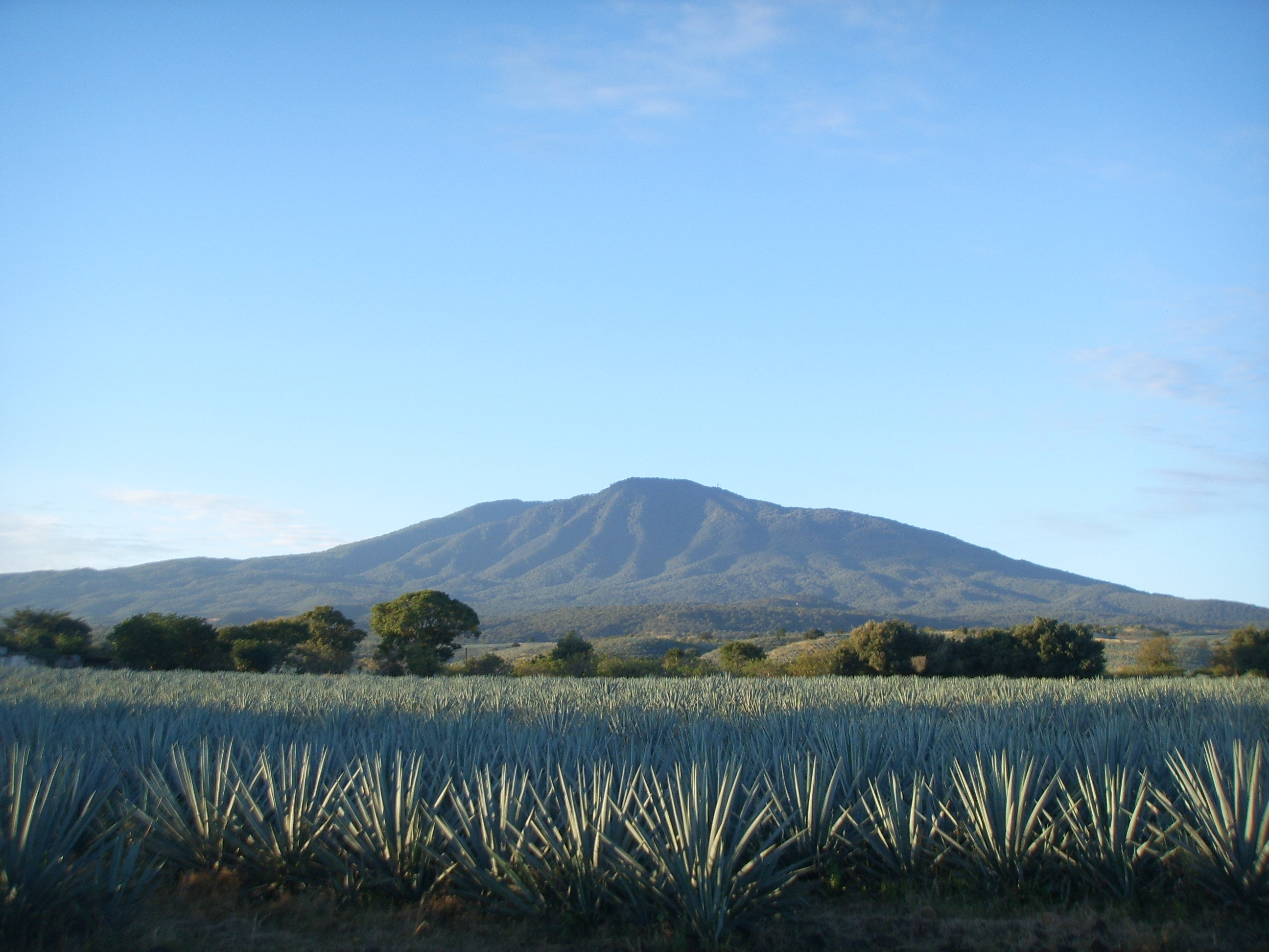 Thumbnail 4 - Volcan de Mi Tierra Cristalino Tequila
