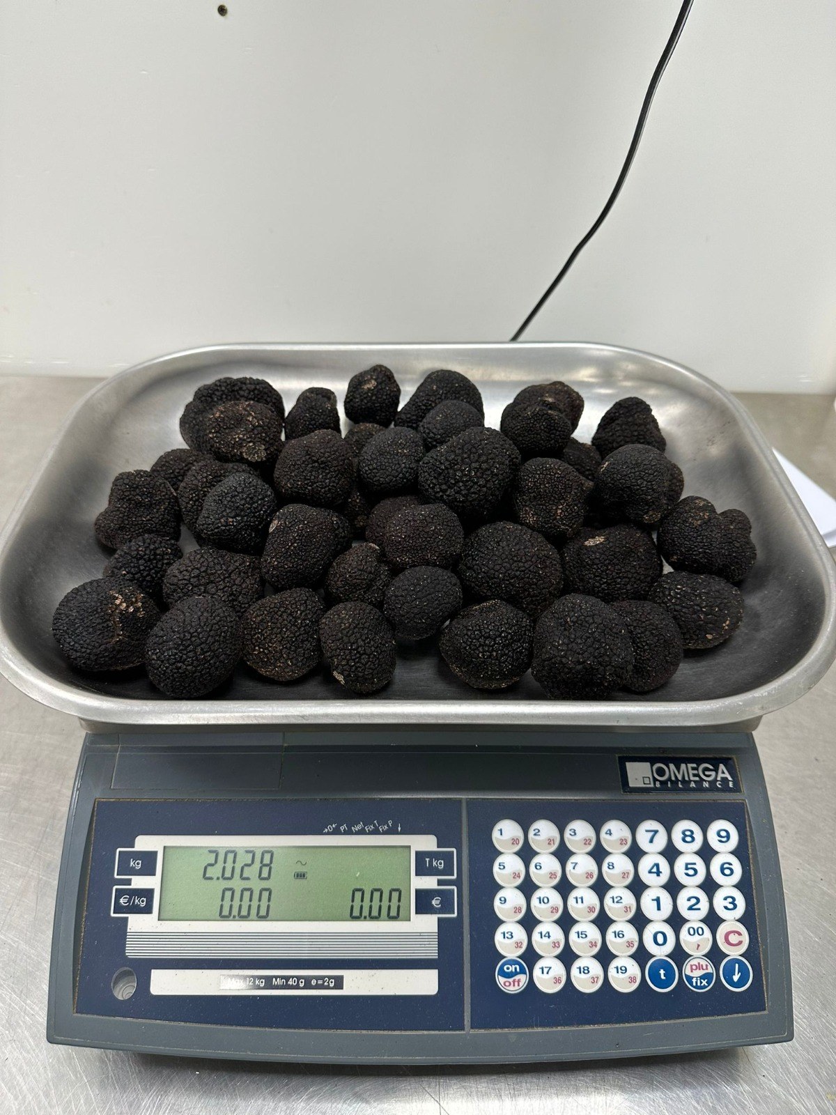 Thumbnail 2 - Fresh Winter Truffle (Tuber Melanosporum)