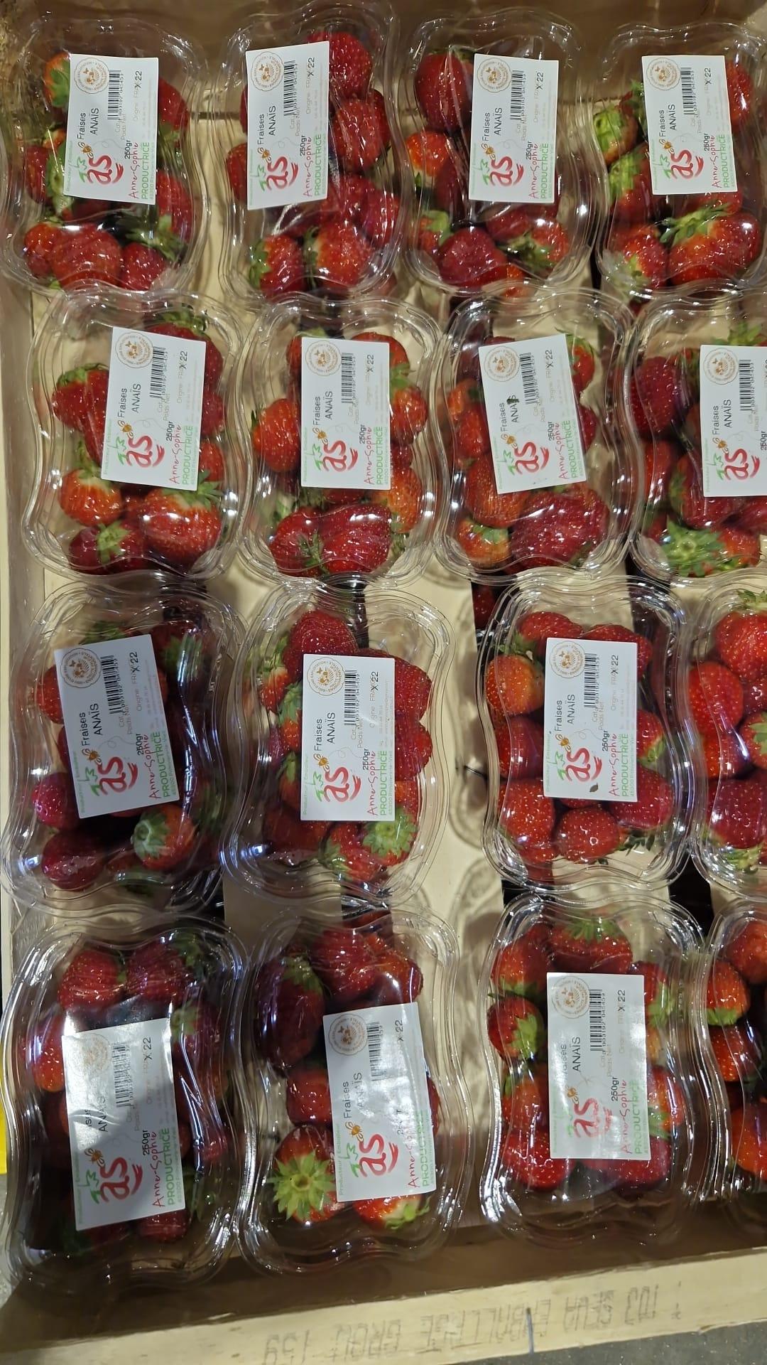 Thumbnail 2 - Anais Strawberries by Anne-Sophie’s Farm in France
