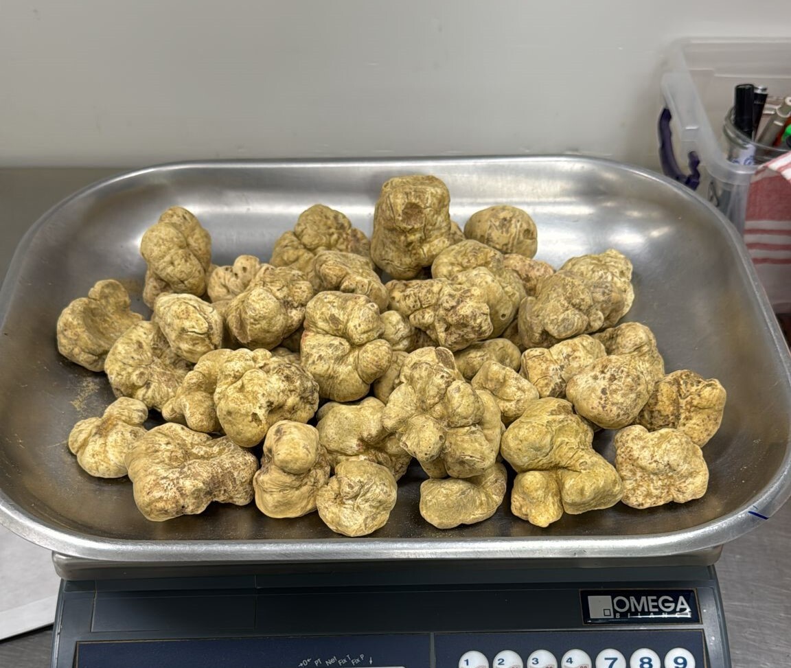 Thumbnail 2 - Fresh White Truffles from Alba