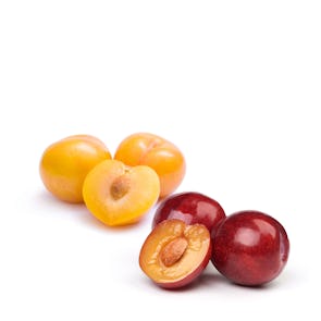 Fresh Yellow and Red Plums (Prunes from France)