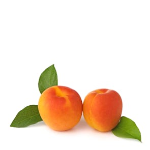 Apricots Extra from France
