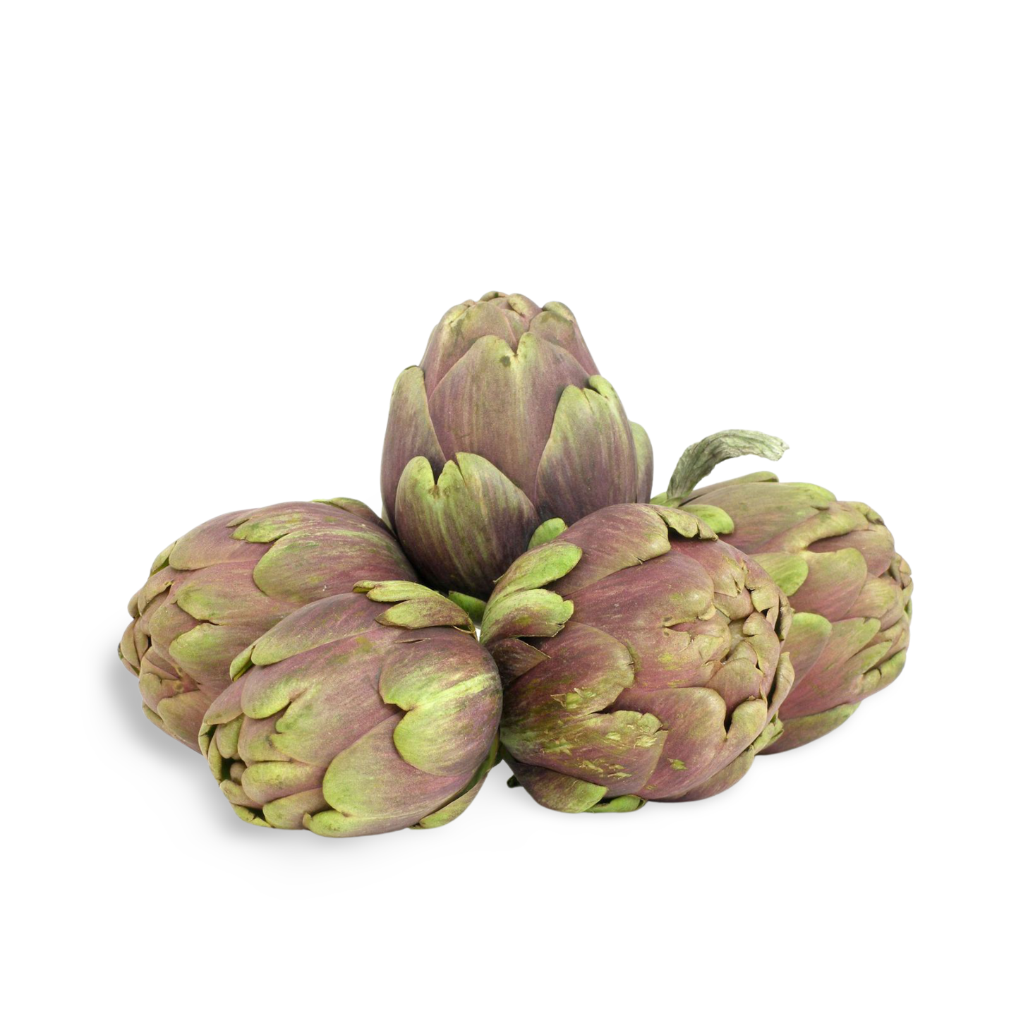 Baby Artichokes (Artichauts Poivrade)