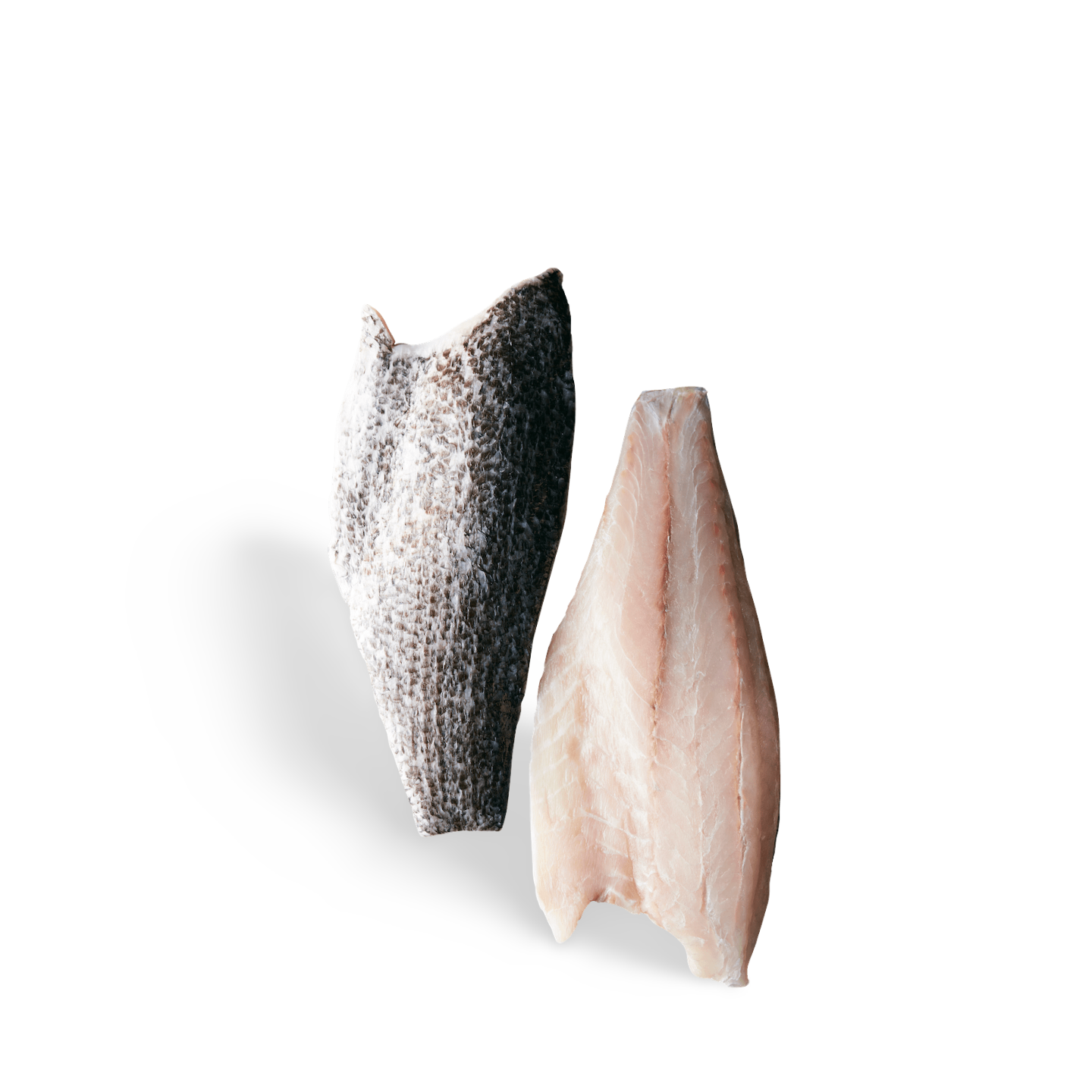 Australis Barramundi (Frozen)