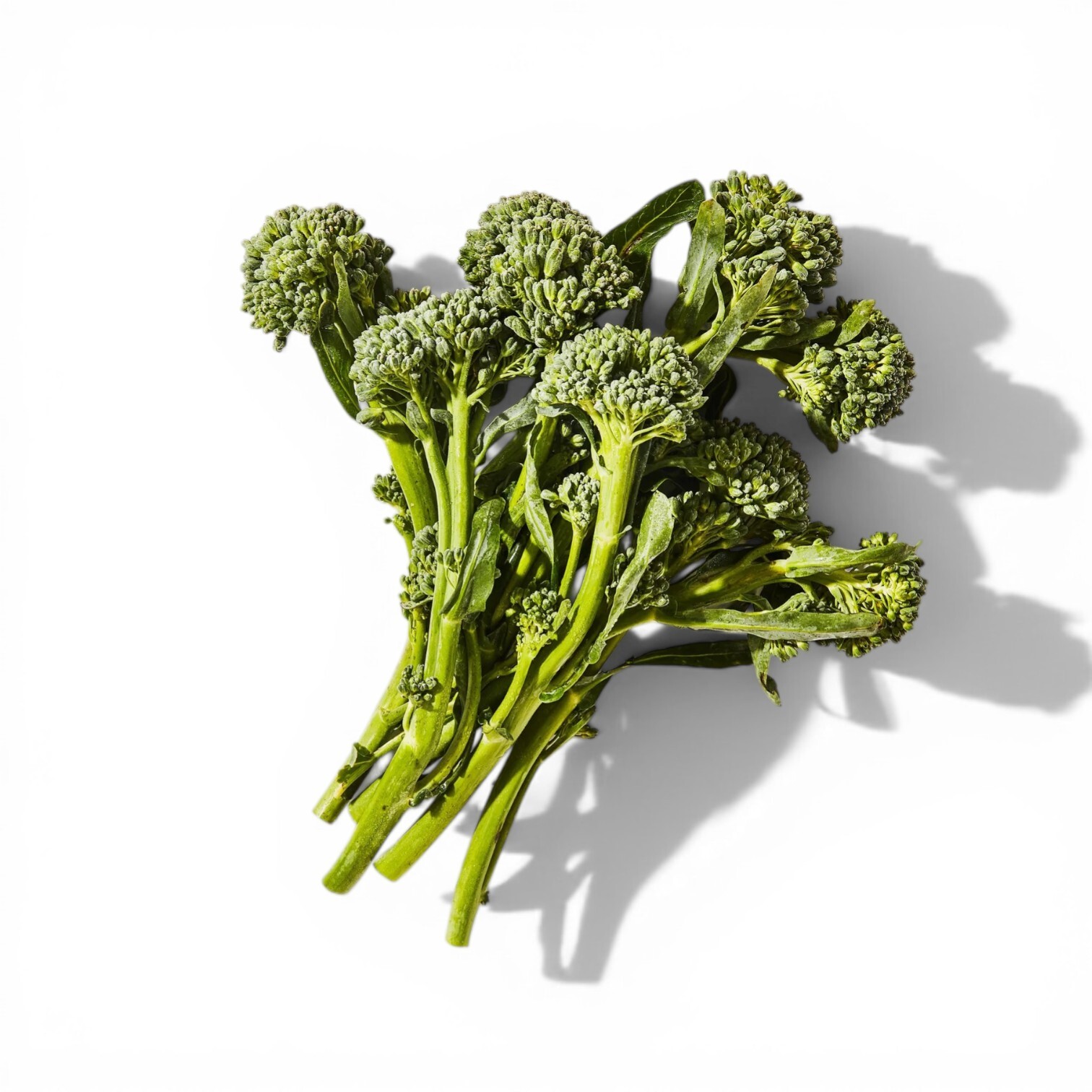 Broccolini (Portugal)
