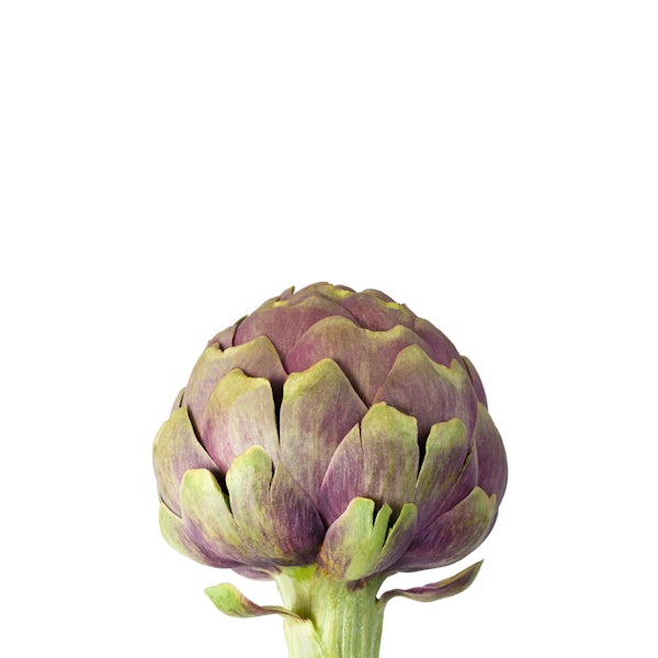 Picture 1 - Big Artichokes from Italy/France