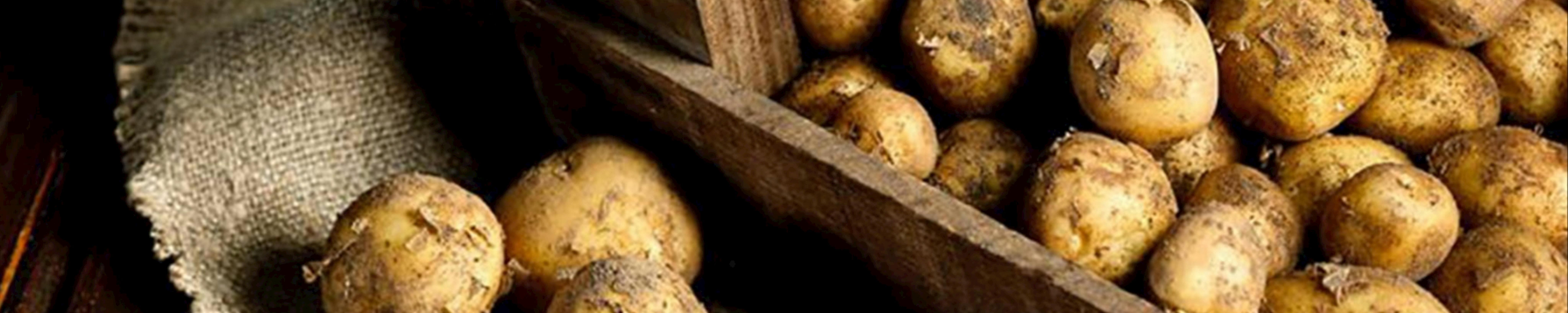 La Bonnotte Potato 🦆The Bow Tie Duck Manila