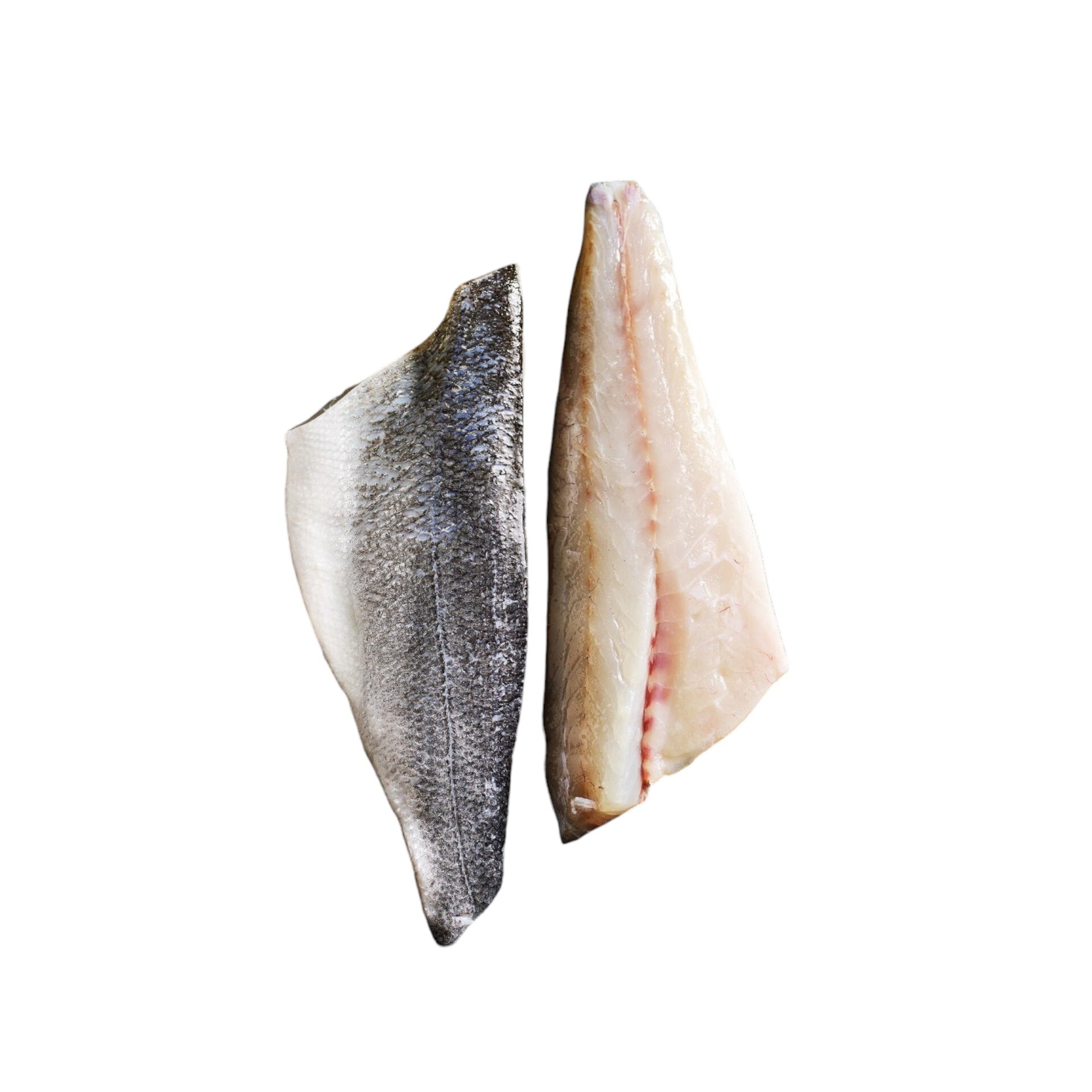 Branzino Fillet (Mediterranean Seabass)