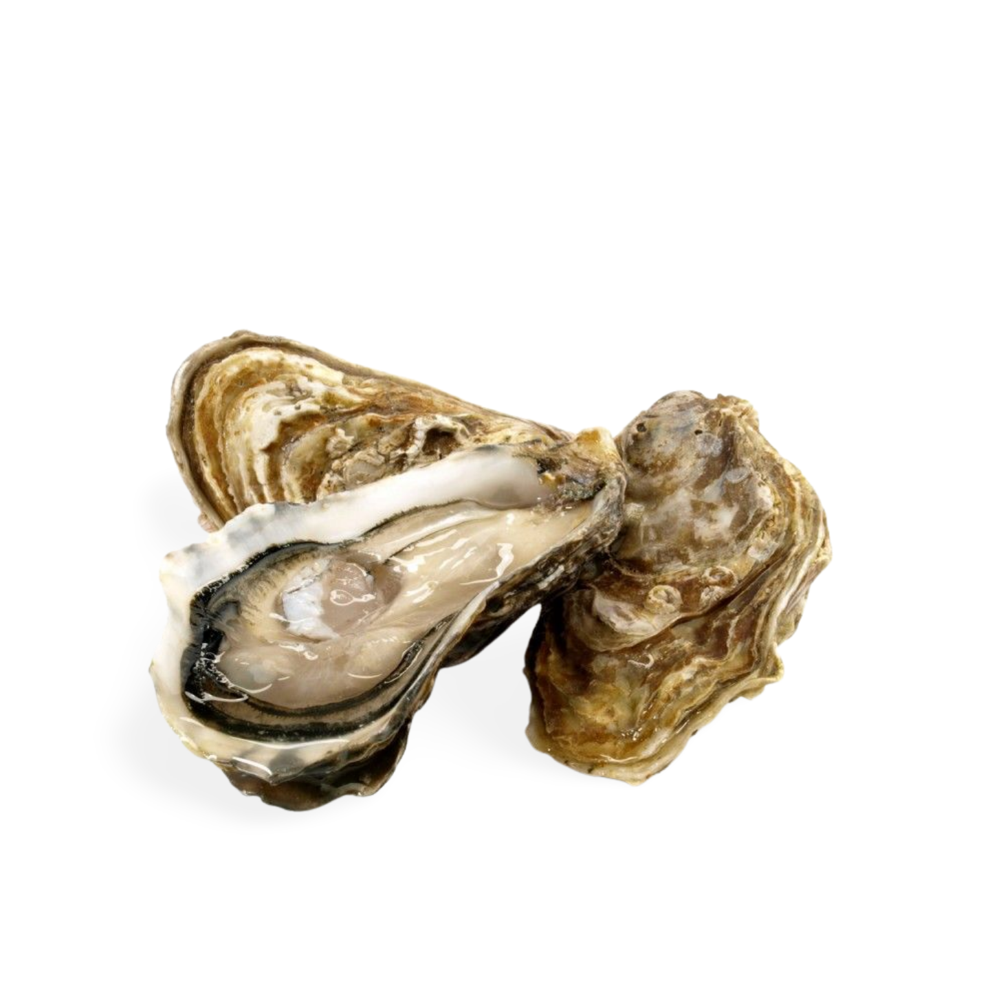 Thumbnail 2 - Saint Kerber Oysters Tasting Box