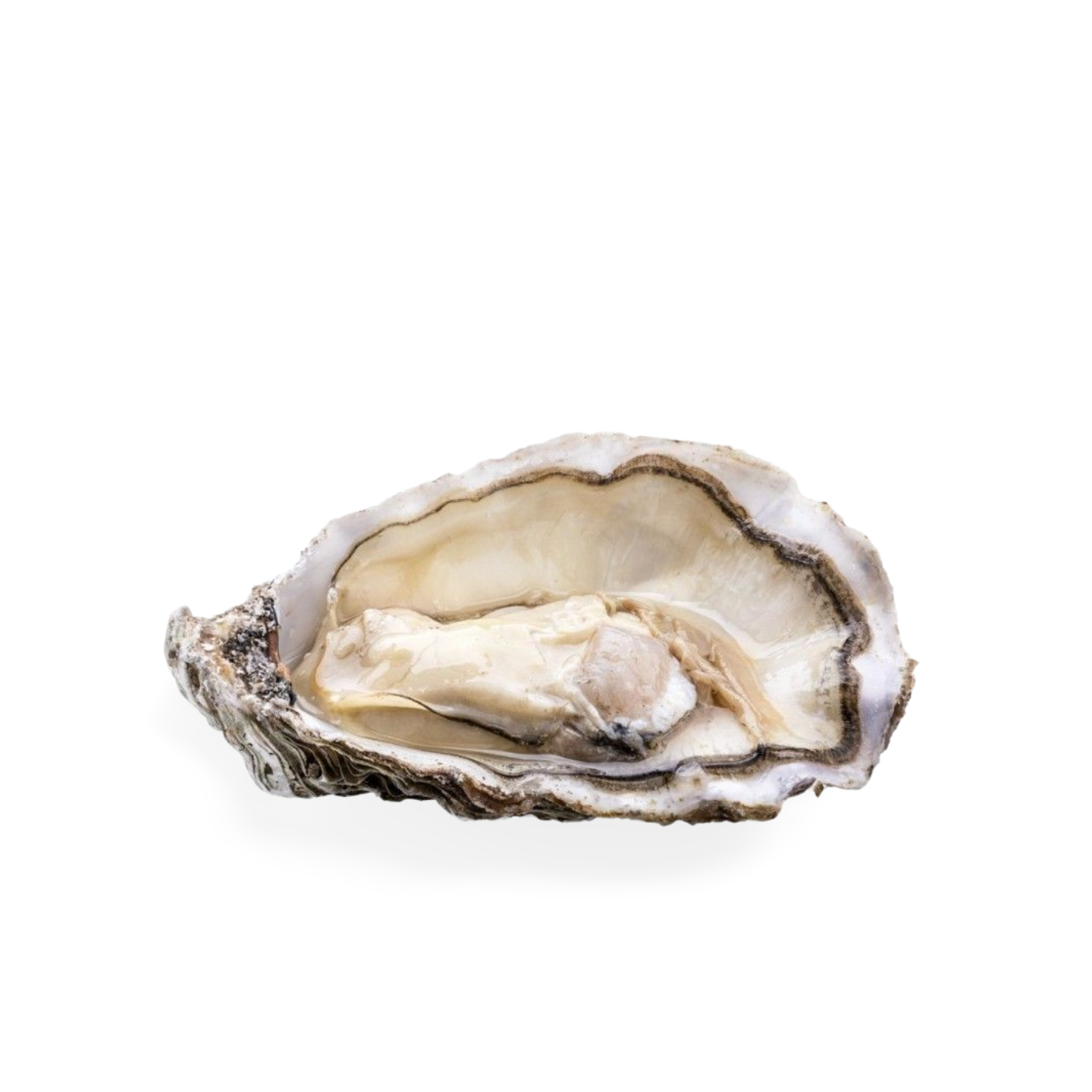 Tsarskaya Special Oysters