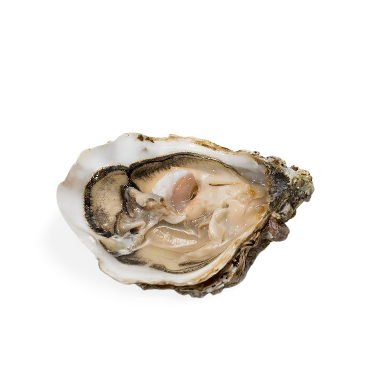 Muirgen Irish Oysters