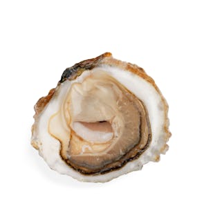 La 1930 Flat Oysters