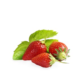 Ciflorette Strawberries from France