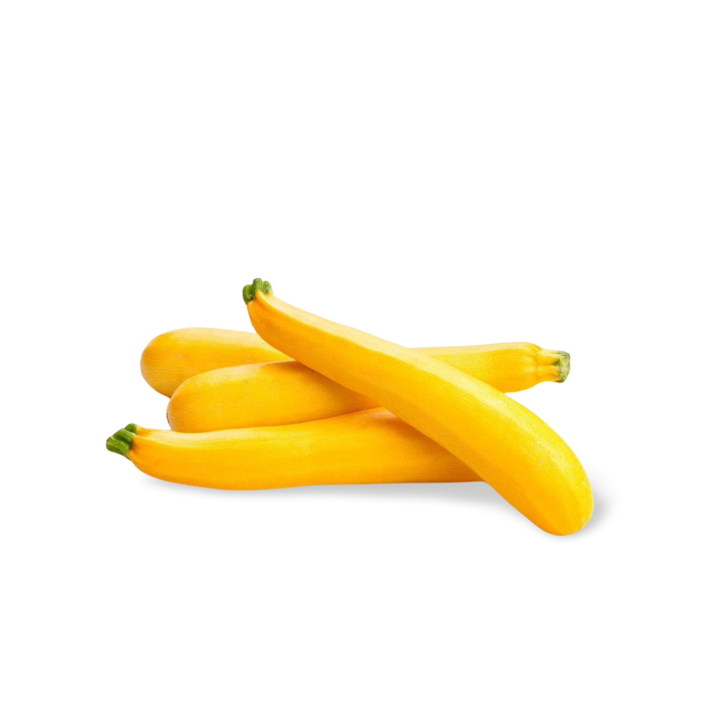 Yellow Zucchini (Squash) from France
