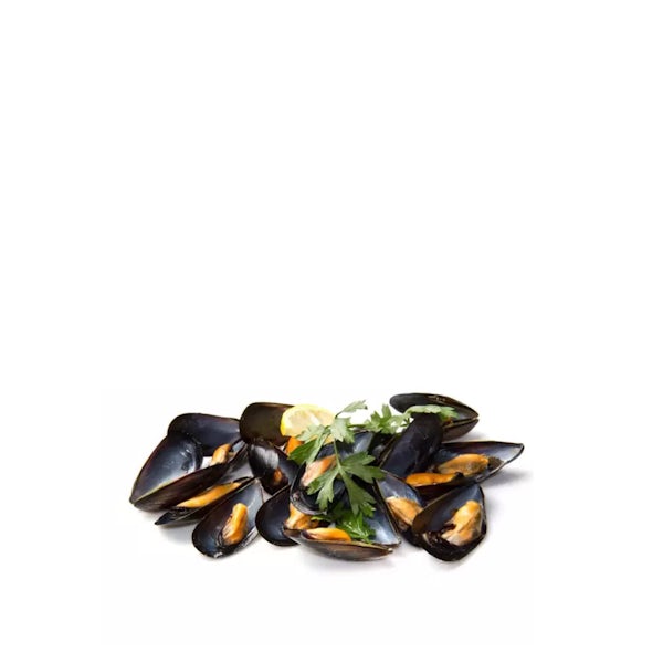Picture 1 - Bouchot Mussels (from Chile)