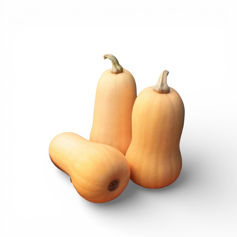 Butternut Squash