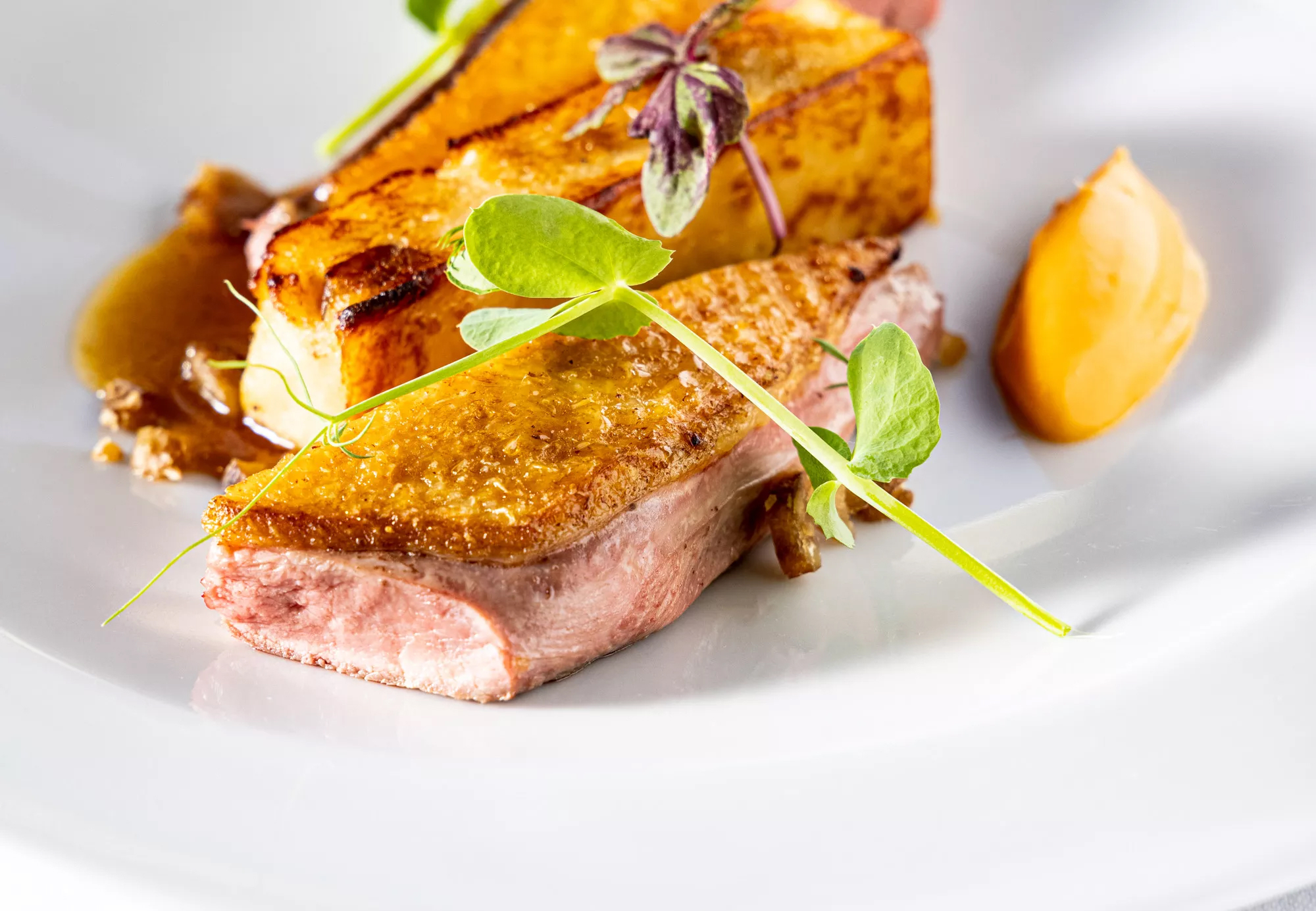 Thumbnail 2 - Canette des Dombes