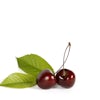 Thumbnail 1 - The Cherries by Yannick Colombie