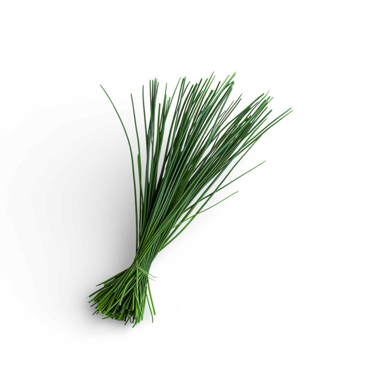 Fresh Chive ( Onion Chives from France )
