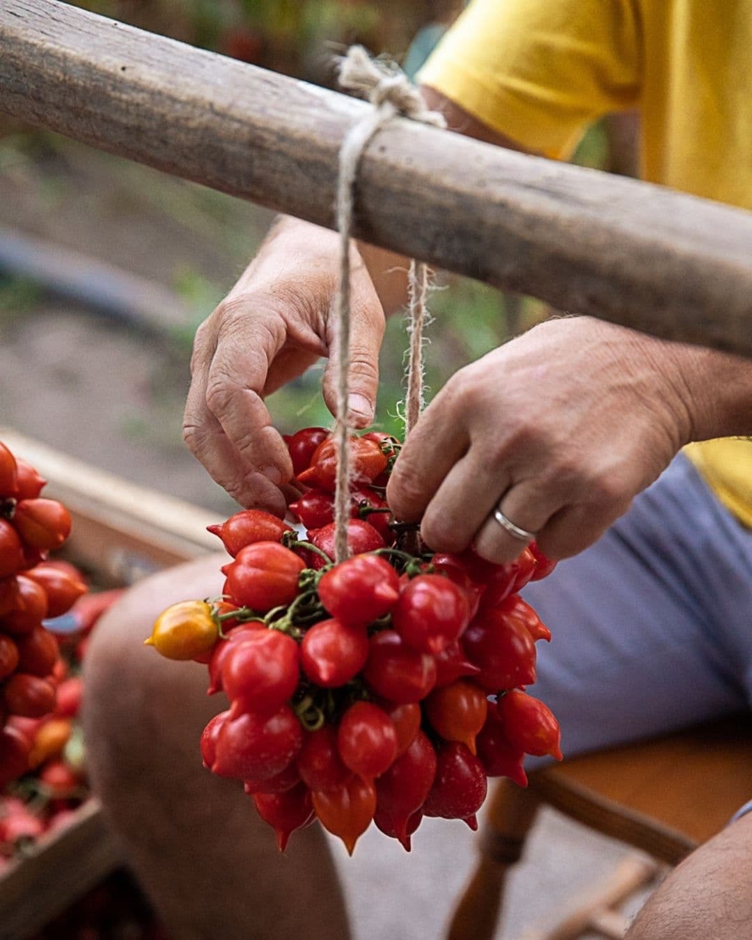 Thumbnail 2 - Piennolo del Vesuvio Tomato