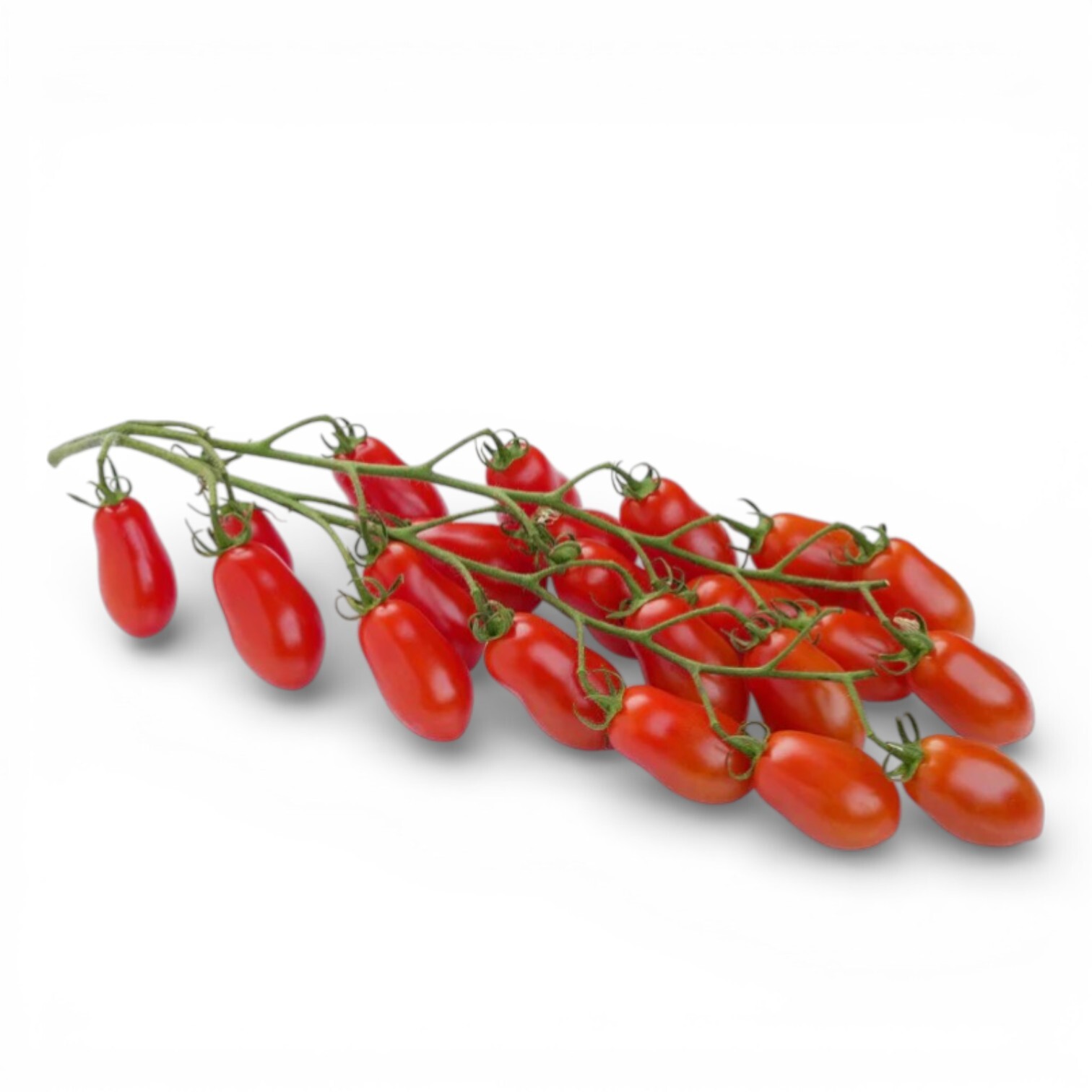 Datterino Cherry Tomatoes
