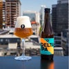 Thumbnail 1 - Brussels Beer Project Delta IPA 6 pack