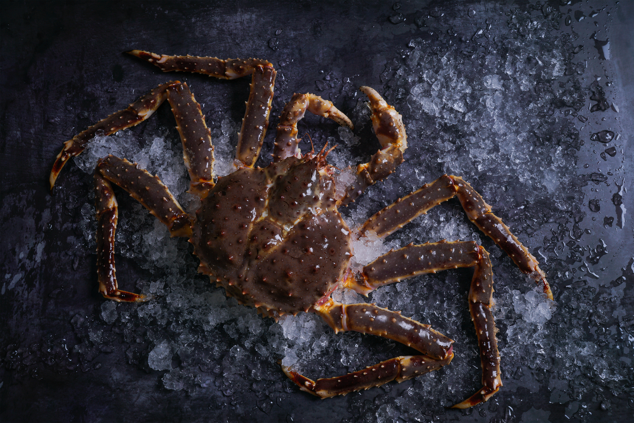 Thumbnail 4 - Alaskan King Crab