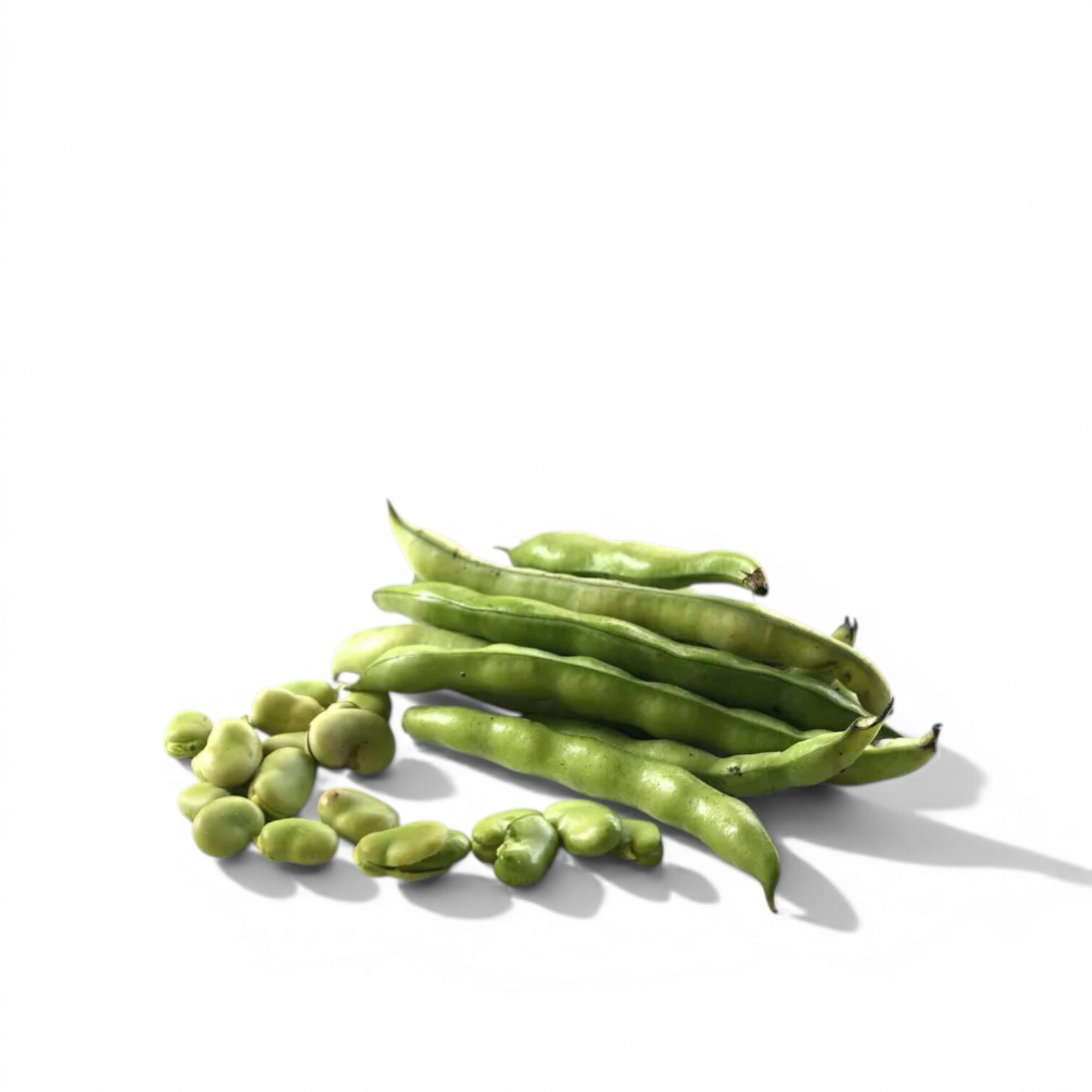 Fresh Fava Beans
