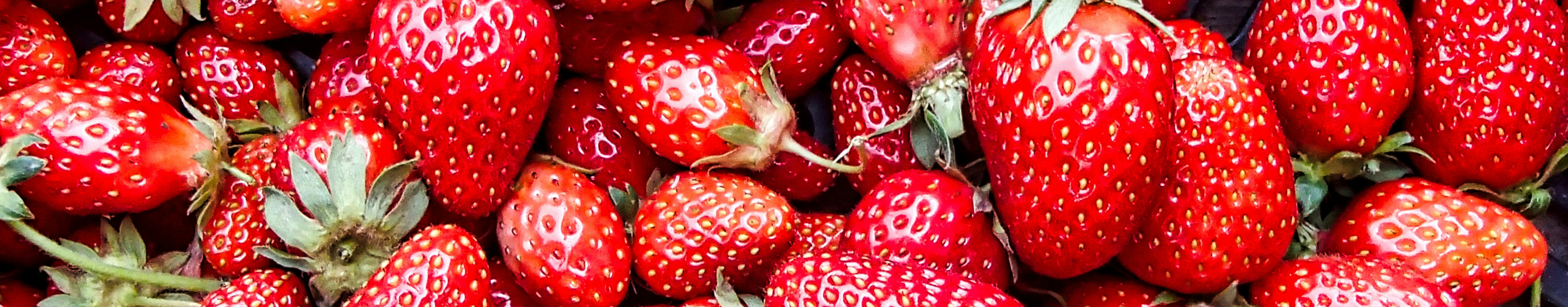 Fresh Gariguette Strawberries from France 🦆The Bow Tie Duck Manila