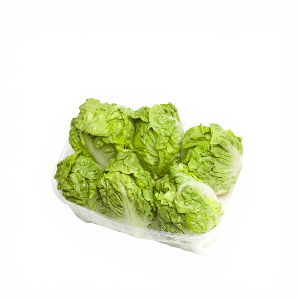 Coeur Corazones Lettuce (Gem Lettuce)