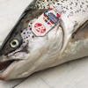 Thumbnail 2 - Fresh Scottish Salmon PGI (Label Rouge)
