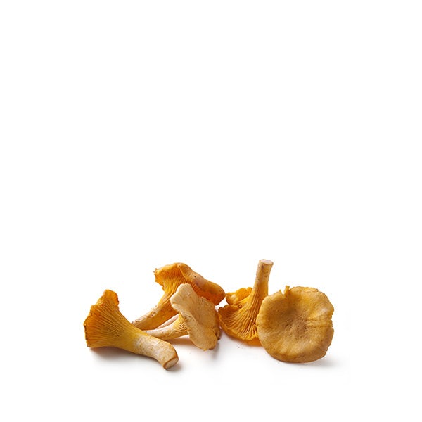 Picture 1 - Fresh Chanterelles from France