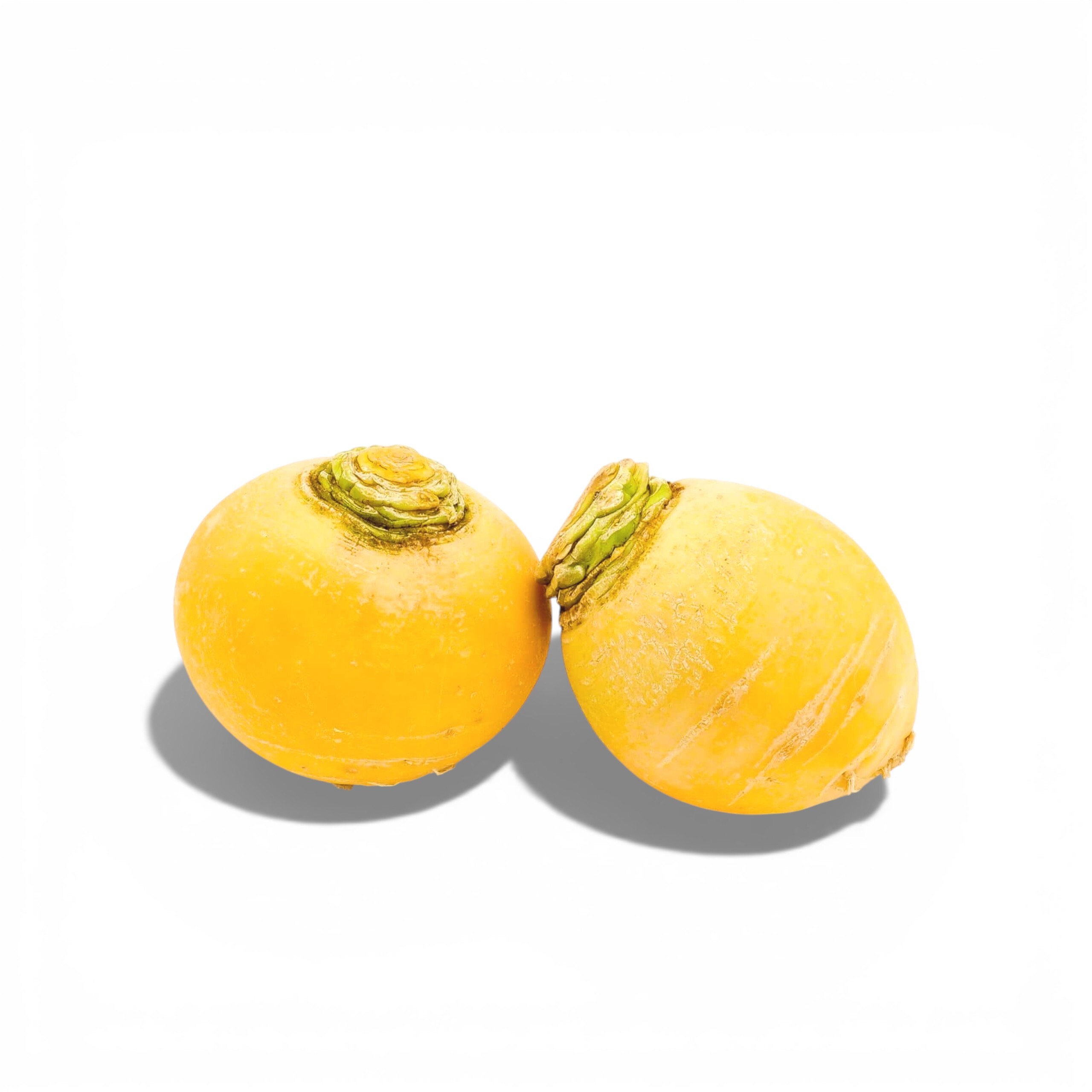 Golden Ball Turnip (France)