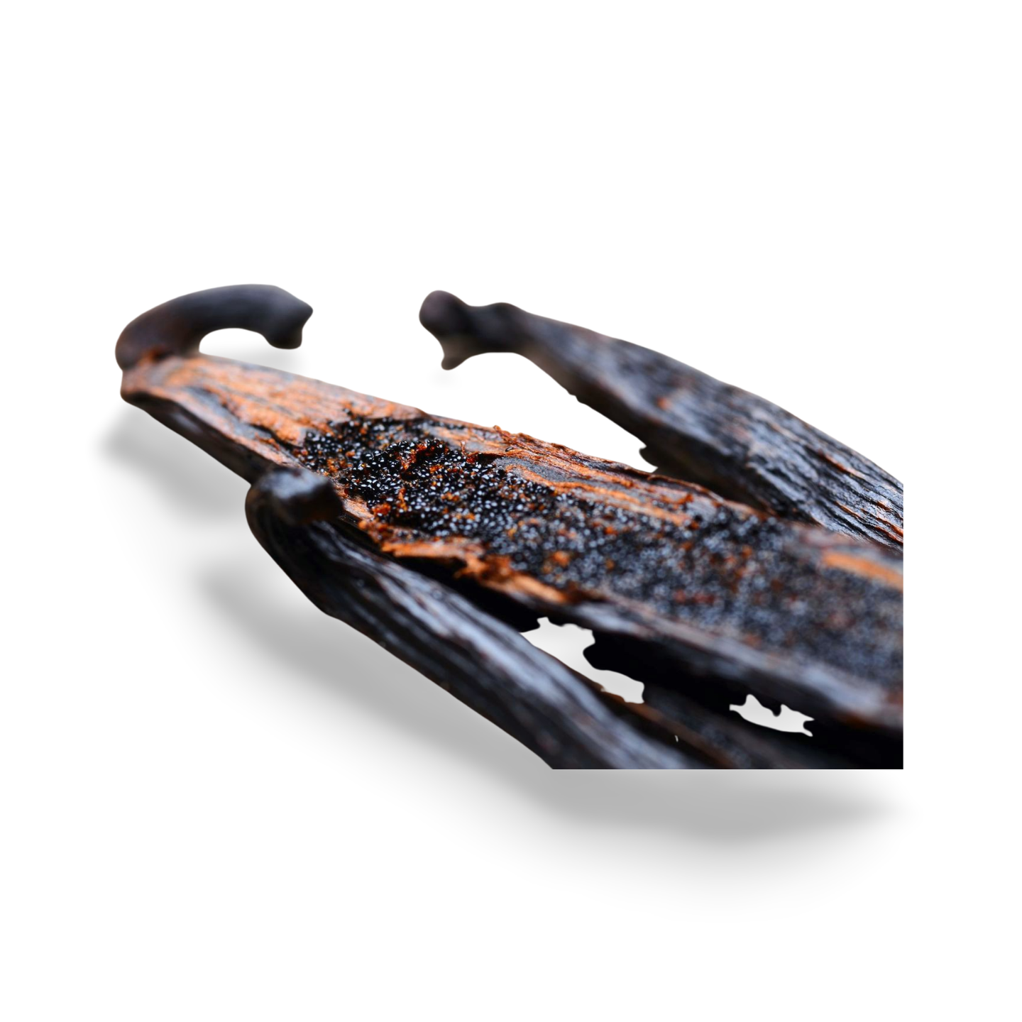 Thumbnail 3 - Madagascar Grade A Bourbon Vanilla Pods