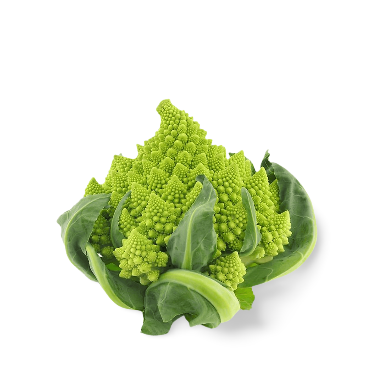 Romanesco Cabbage from France