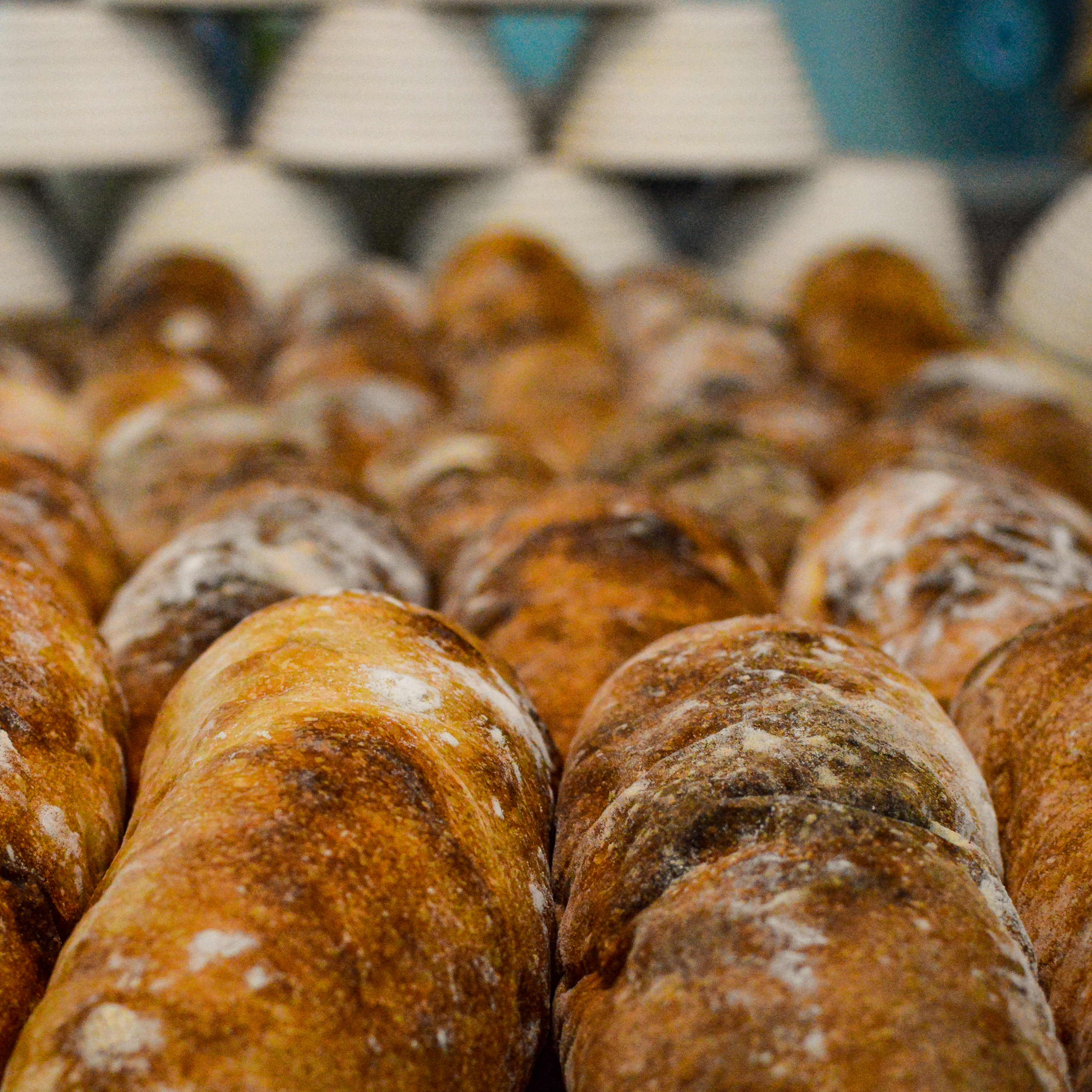 Thumbnail 4 - Naked Bakery Schiacciata with Garlic Parsley (The Hulk 80)