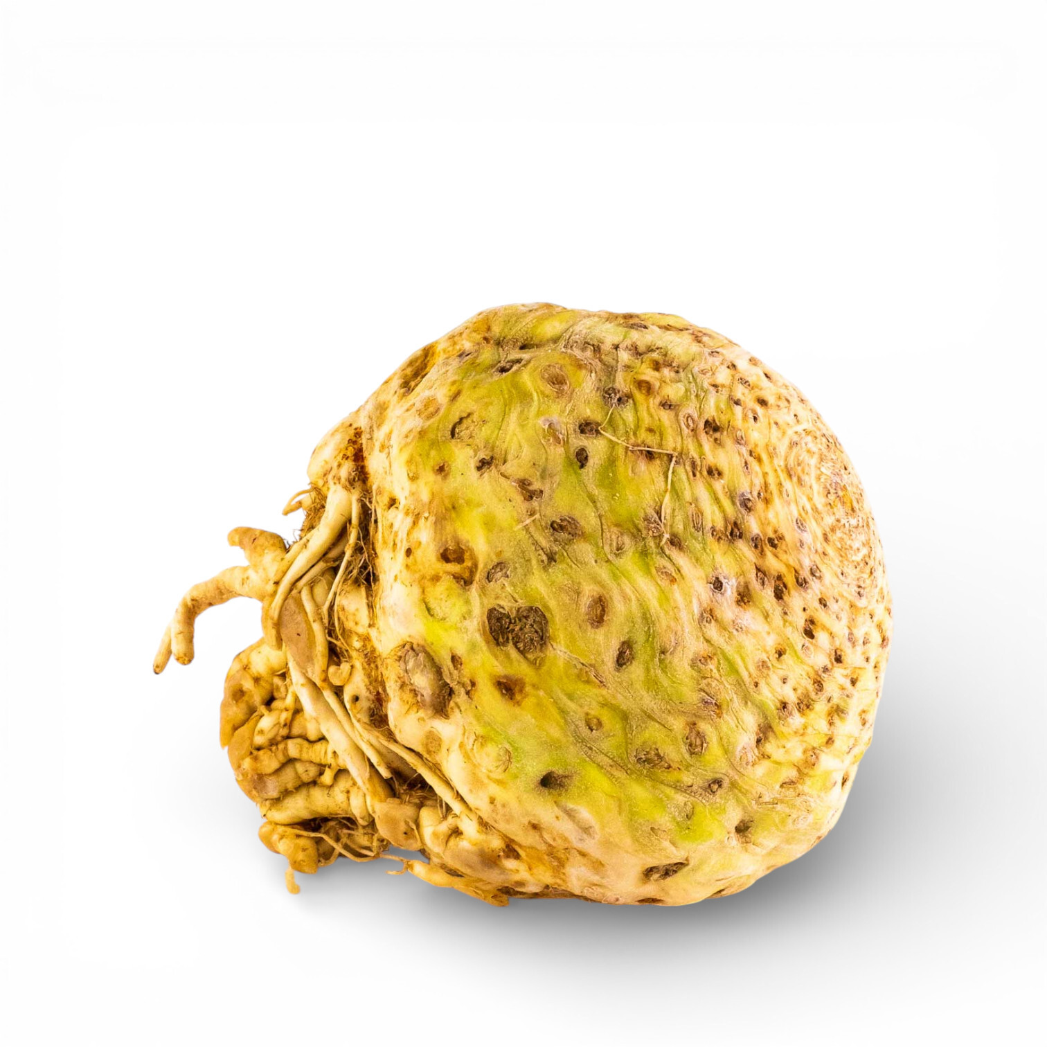 Fresh Celeriac from France