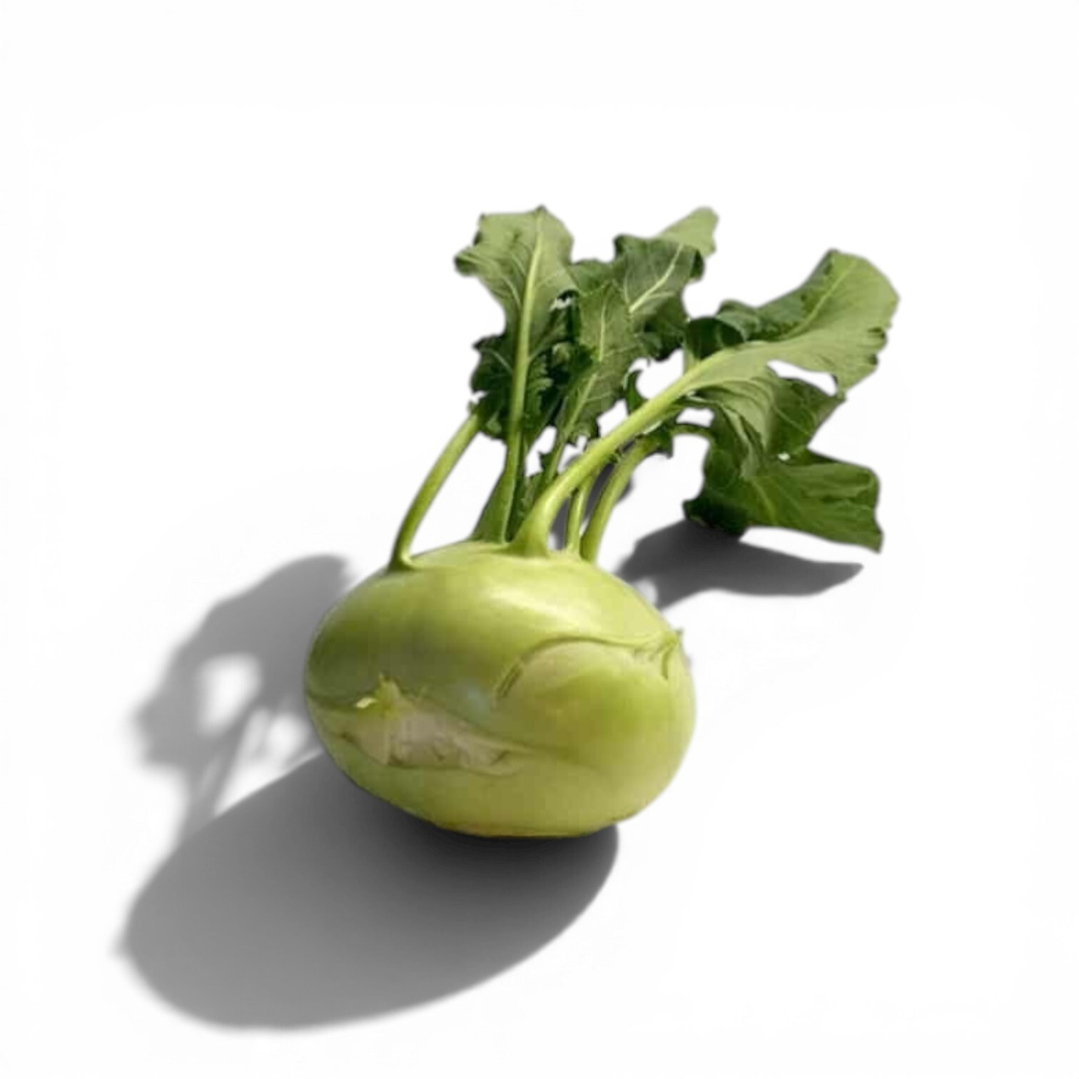 Kohlrabi