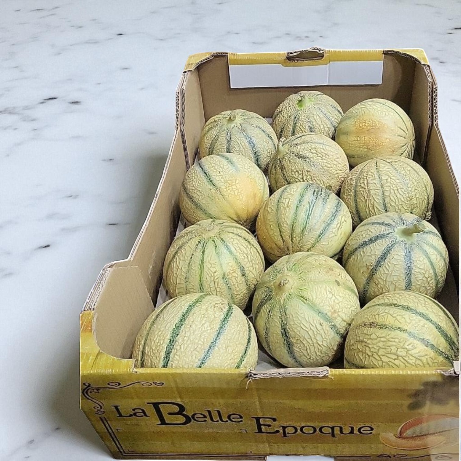 Thumbnail 2 - Melon La Belle Époque