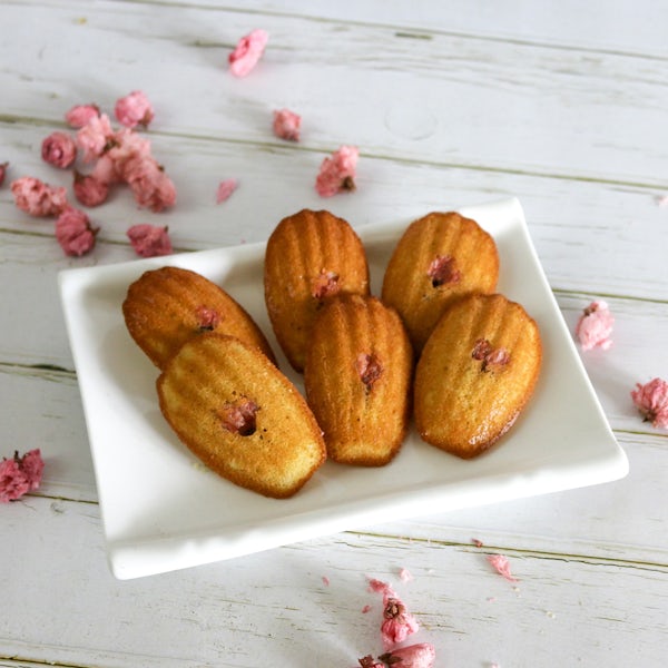 Picture 6 - Limited Edition Madeleines by Mlle. M Bakes
