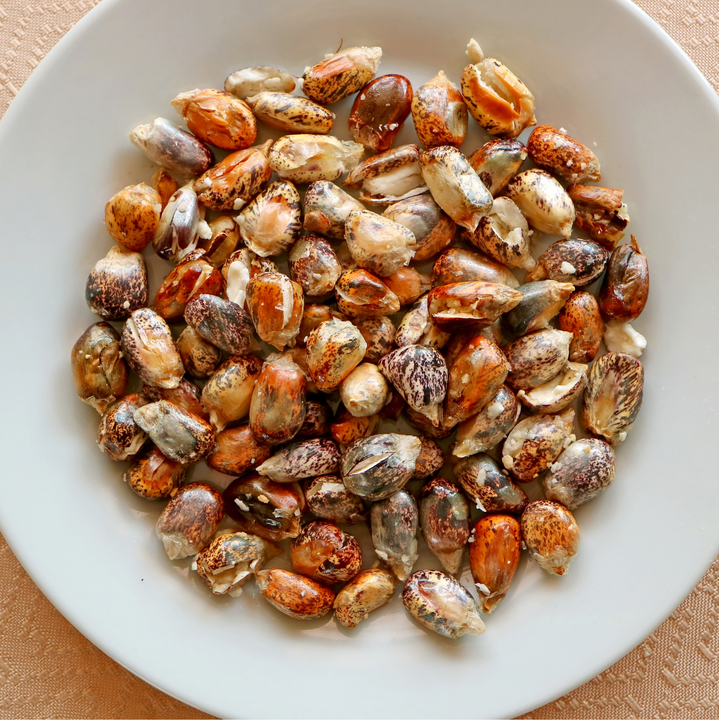 Thumbnail 2 - Maiz Cancha (Dried Corn Cancha)